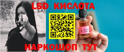 индика Новодвинск