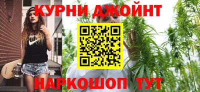индика Новодвинск