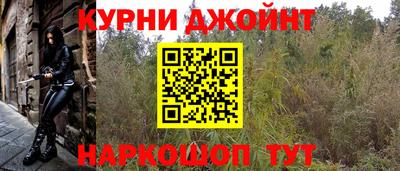 ГАЛЛЮЦИНОГЕННЫЕ ГРИБЫ Новозыбков