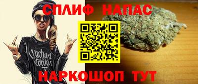 индика Новодвинск