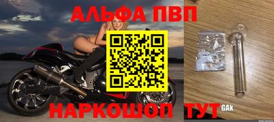 индика Новодвинск