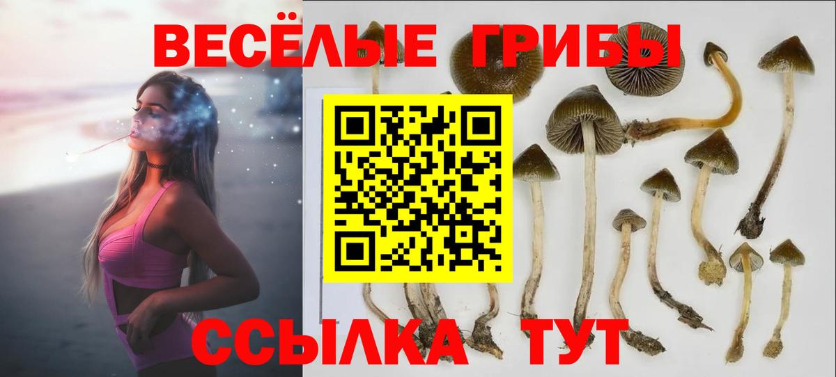 Галлюциногенные грибы прущие грибы  закладка  Саяногорск  Вход с VPN 
