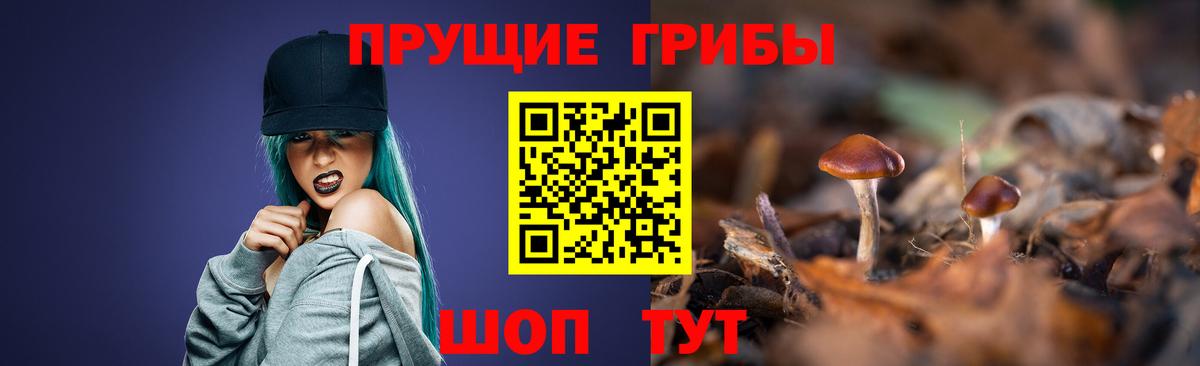 Галлюциногенные грибы прущие грибы Саяногорск